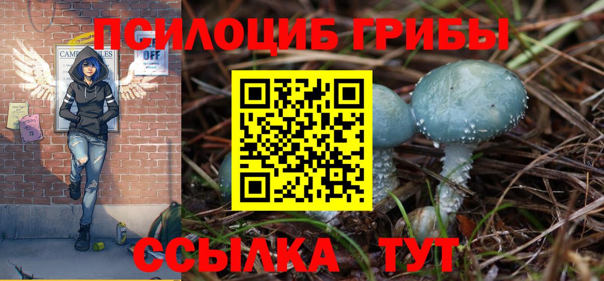 Псилоцибиновые грибы GOLDEN TEACHER  Вход с VPN  Тара 